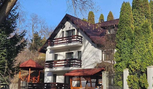Vila Cervinia Busteni in Bușteni