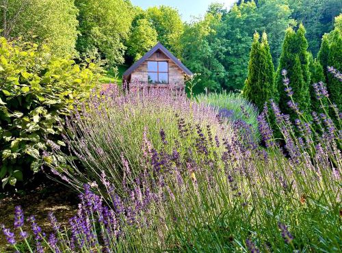 Vila Countryhouse Pijevci