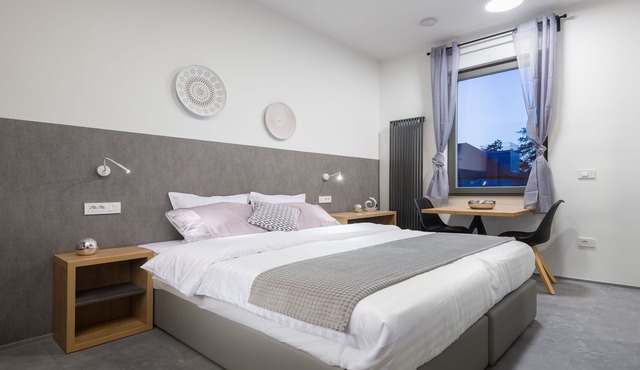 Vila Emona - Central Apartments - Free Parking in Ljubljana