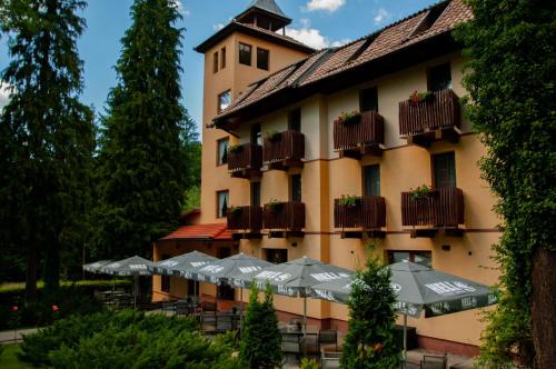 Vila Parc in Sovata
