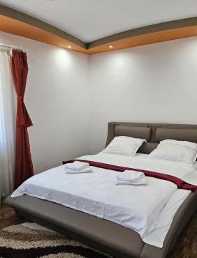 Vila Simona in Baiculesti