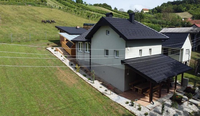 Vila Tamaškut in Lendava