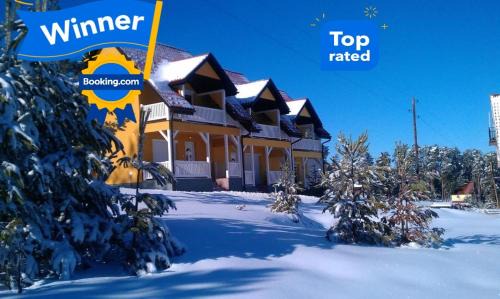 Villa Ducic in Zlatibor