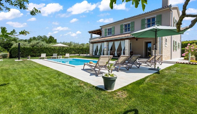 Villa Stella Polaris with pool in Višnjan, Istria in Srebrnići