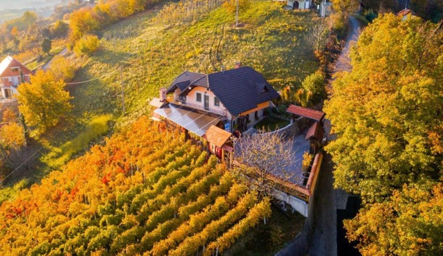 Vineyard Cottage Bregač, Šmarješke Toplice, Slovenia in Šmarješke Toplice