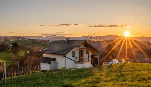 Vineyard Cottage Mayolka, Novo mesto, Slovenia in Novo mesto
