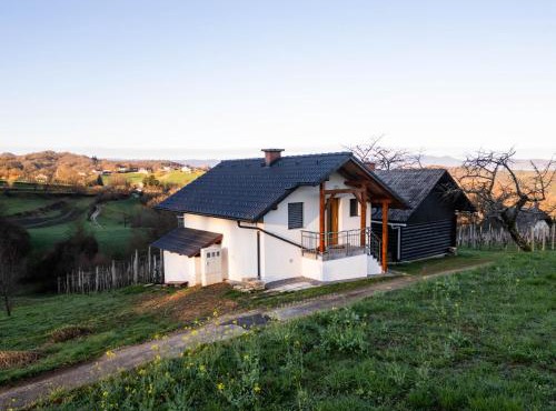 Vineyard cottage Majolka in Novo Mesto