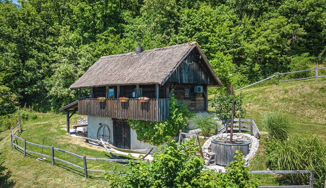 Vineyard Cottage Pavlin 1, Otočec, Slovenia in Otocec