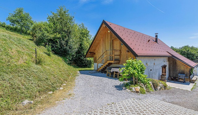 Vineyard Cottage Pavlin 3, Otočec, Slovenia in Otocec