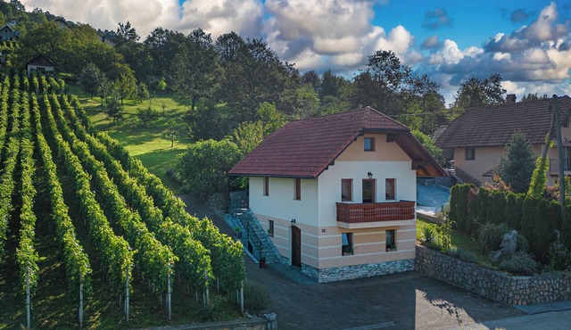 Vineyard Cottage Pyramid, Dobrnič, Slovenia in Dobrnic