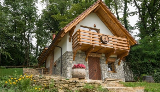 Vineyard cottage Rataj 2 in Novo mesto