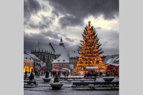 Vintage Downtown Rooms in Brasov