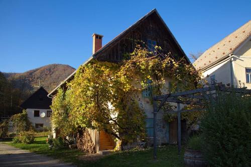 Vintage House Podliparska in Fara