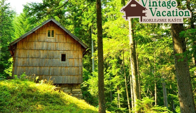 Vintage Vacation - Koklejske kašte Luče in Podveža