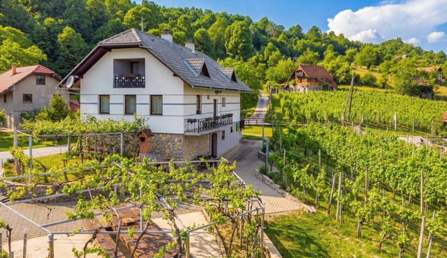 Vrtin Vineyard Family Retreat, Dragatuš, Slovenia in Dragatuš