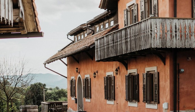 Wine Estate on a Private Hill - Luxury with character for 15+ in Videm pri Ptuju