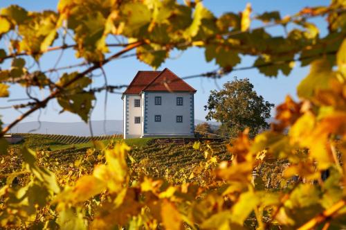 Wine Grower's Mansion Zlati Gric in Slovenske Konjice