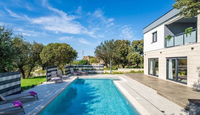 Wonderful private villa for 6 guests with private pool, WIFI, A/C, TV, terrace and pets allowed in Biograd Na Moru