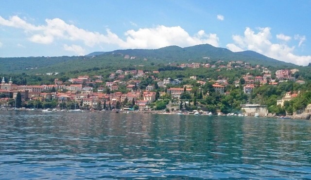 Wonderful villa for 8 guests with A/C, WIFI, TV, terrace and pets allowed in Rijeka