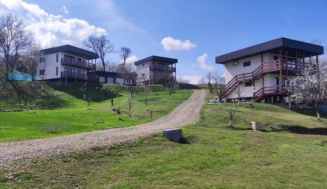 ZEN Apartments in Magura