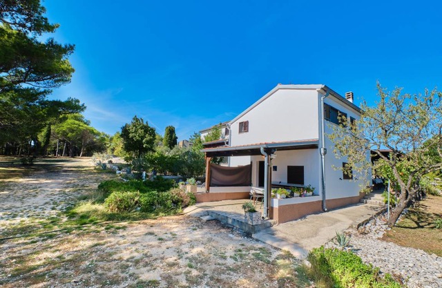 30 m² Apartment ∙ 1 bedroom ∙ 3 guests in Ćunski
