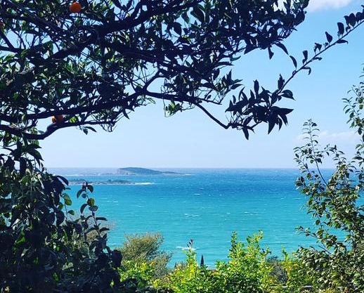 Apartmani Ana Plat