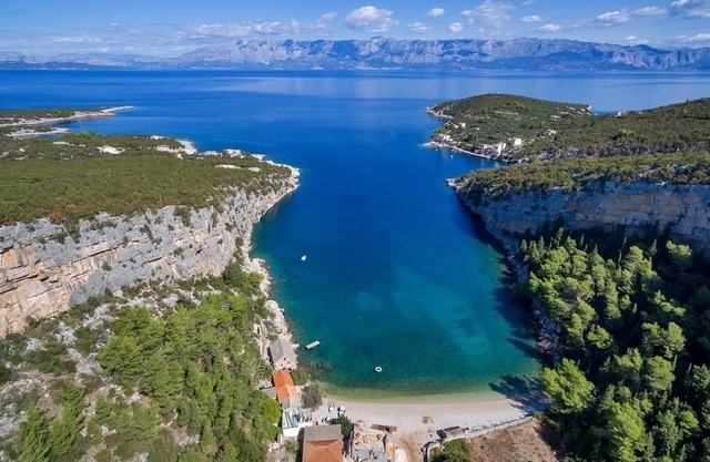 Apartment Ana - 5 m from beach: R3-14(4) - Cove Pokrivenik, Island Hvar, Croatia