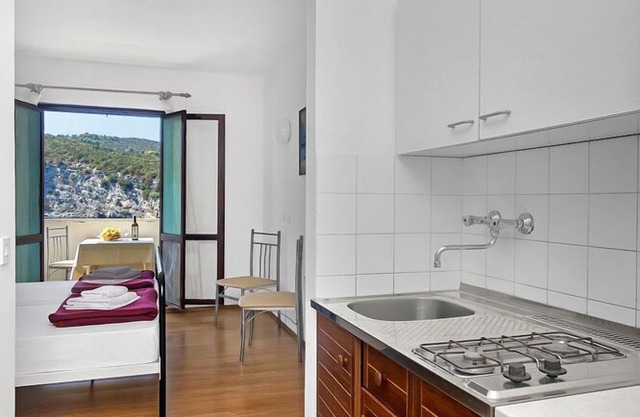 Apartment Igor - 5 m from beach: SA3(2) - Cove Pokrivenik, Island Hvar, Croatia