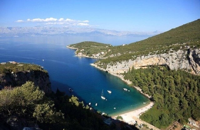 Apartment Igor - 5 m from beach: SA6(2+2) - Cove Pokrivenik, Island Hvar, Croatia