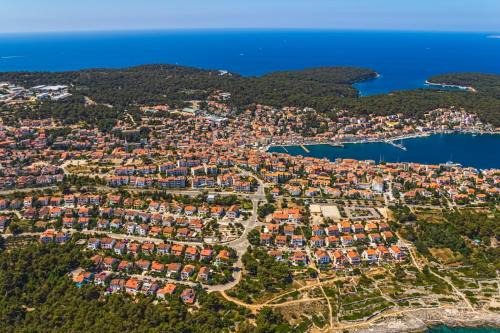 Apartment in Mali Lošinj with terrace, air conditioning, washing machine (3683-1)