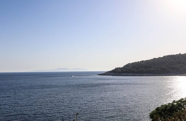 Apartment Marlene - 50 m from sea: R5(2) - Milna (Hvar), Island Hvar, Croatia