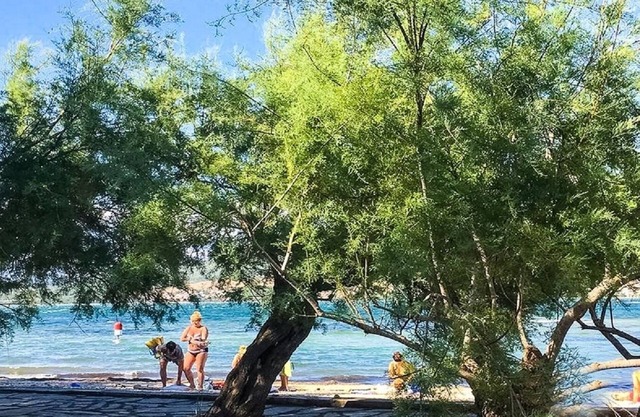 Apartment Niko - 40m from the beach: A2(3+2) - Donji Karin, Zadar riviera, Croatia