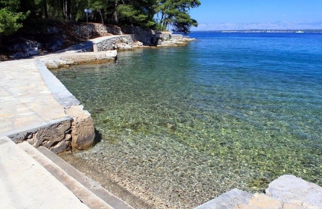 Apartment Ružica - 50m from the sea A3-Orhideja(4) - Lukoran, Island Ugljan, Croatia