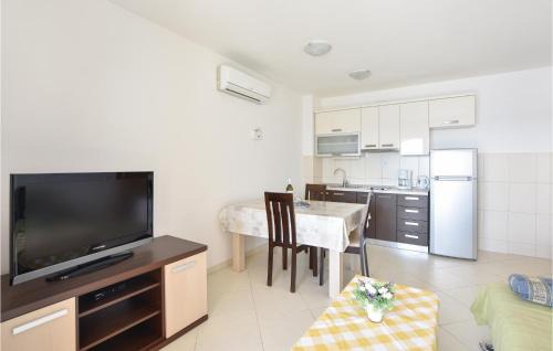 Apartment Zavode V