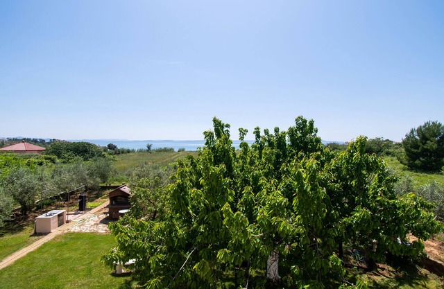 Apartments Štefa (51581-A1) - Privlaka (Zadar)