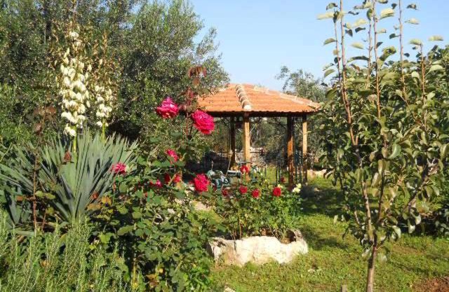Apartments Branimir
