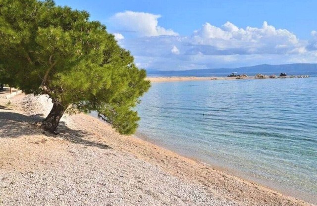 Apartments Jela, (15071), Makarska, hr