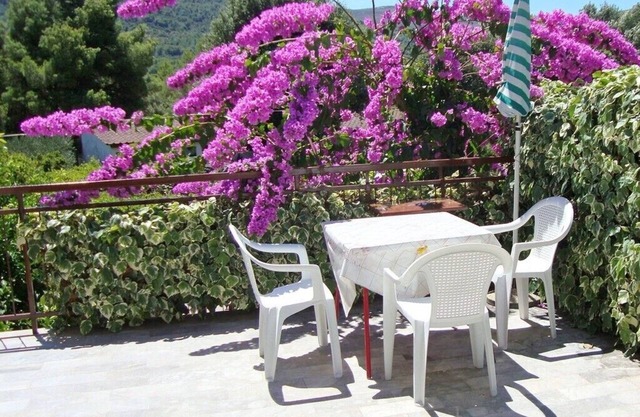 Apartments Marija, (8026), Stari Grad, Croatia