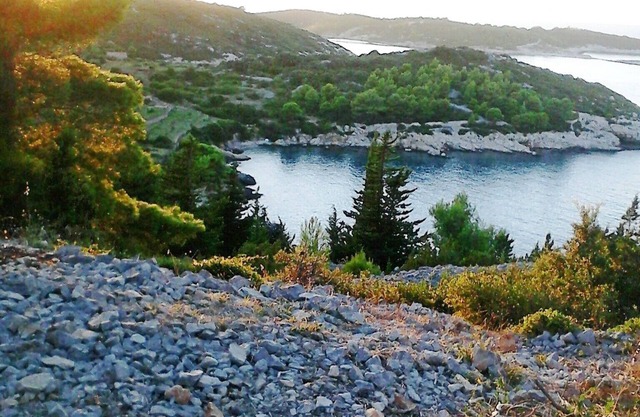 Apartments Palmina, (2738), Vis, hr