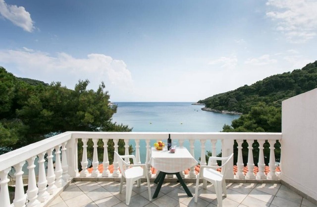 Apartmetns Franka Saplunara-One-Bedroom Apartment with Terrace and Sea View No2