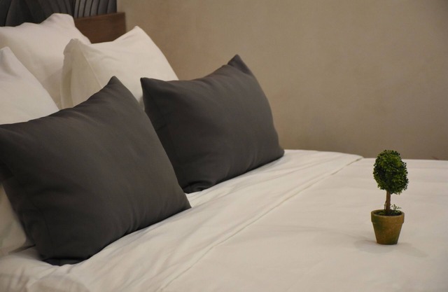 Cozy, clean, charming, new apartment in the city center of Belgrade in Vracar