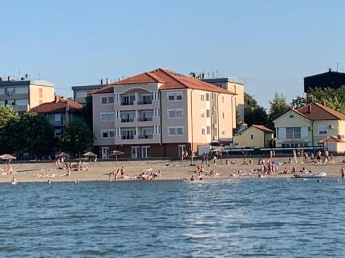 Danubiana 