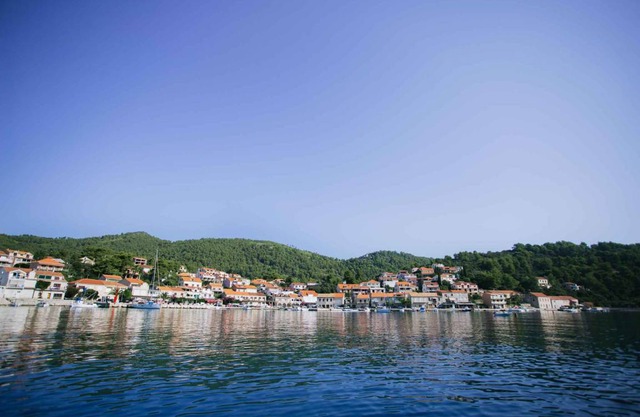 Holiday apartment Adriatic Sea at 20 m