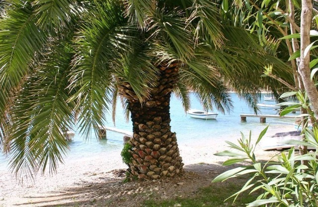 Holiday apartment Stanići for 1 - 10 persons with 4 bedrooms - Holiday apartment