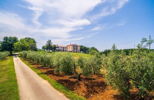 Lovely House LINDI in Poreč- One-bedroom apartment
