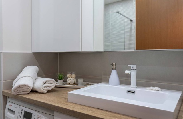 Spacious Apartment in Radnička Business Zone