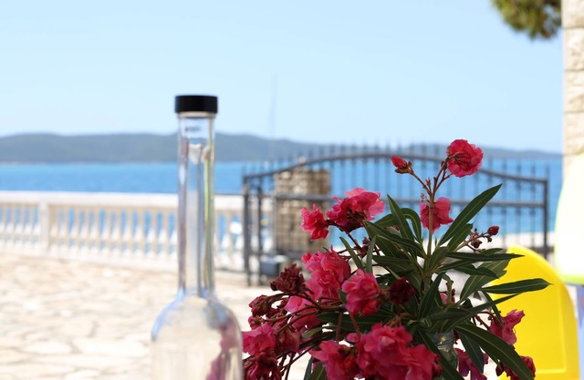 Beach Brodarica 