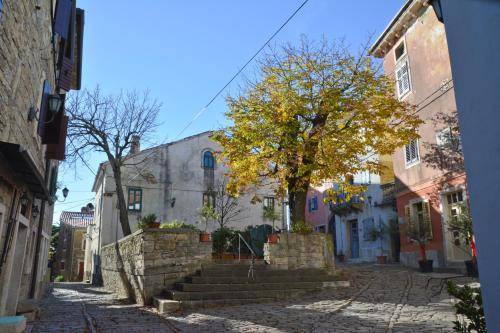 Groznjan Bed & Breakfast | 16 m² Bed and breakfast ∙ 2 guests