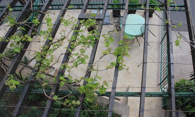 Obrs Apartment | 22 m² Studio flat ∙ 1 bedroom ∙ 2 guests