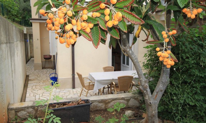 Nerezine Apartment | 34 m² Apartment ∙ 1 bedroom ∙ 2 guests